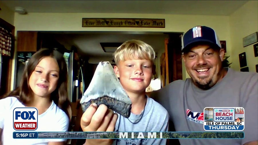 Pennsylvania family finds Megalodon tooth while vacationing in New Jersey