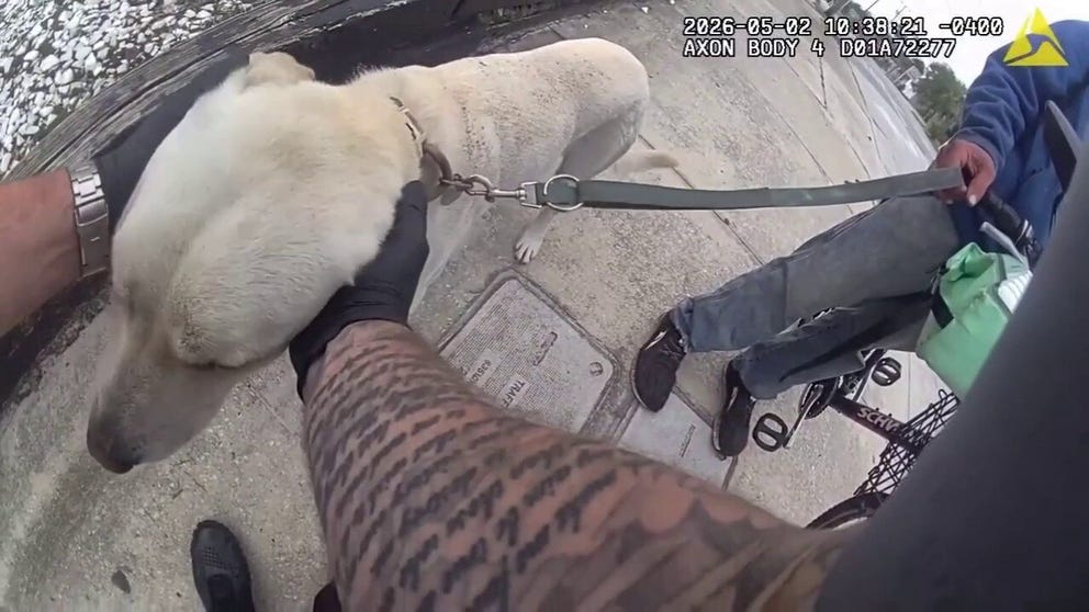 A police officer in Daytona Beach, Florida, spotted a dog struggling to walk on the hot pavement and stepped in by buying the pet a pair of protective boots.