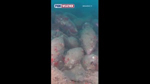 2,000-year-old Roman-era shipwreck found in Italy
