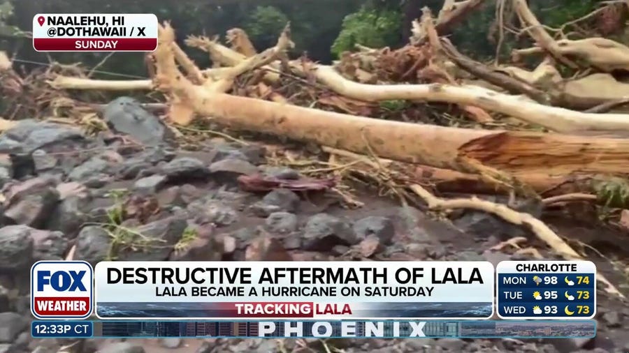 Destruction left behind by Hurricane Lala in Hawaii as cleanup efforts begin