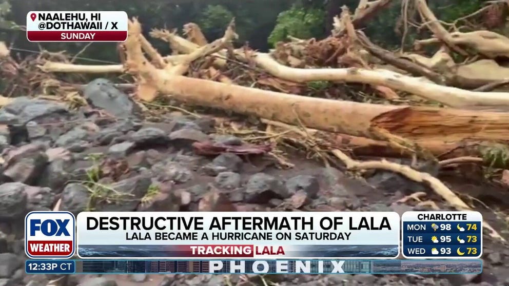 HURRICANE AFTERMATH ‼️: FOX Weather Correspondent Katie Byrne reports from Honolulu, Hawaii, where early cleanup efforts are underway as downed trees, flooded roads and power outages plague the state. #Hawaii #Hurricane #FOXWeather