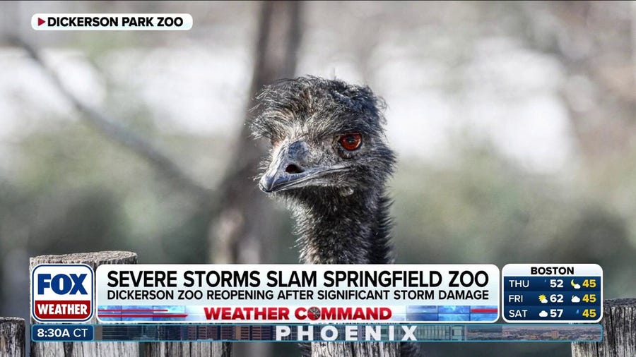 Missouri zoo sustained significant damage from dangerous hailstorm