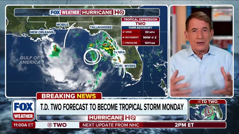 Tropical Depression Two has formed in the Gulf, with Tropical Storm Bertha likely to form within the next few days. Heavy rain will pose the biggest threat, with tropical downpours looming from Louisiana to Florida. FOX Weather Hurricane Specialist Bryan Norcross breaks down his exclusive analysis on the latest developments: