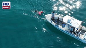 OCERCH tags great white shark Jekyll in 2022