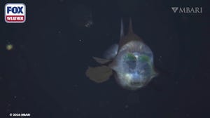 See it: Extremely rare deep-sea fish seen during ocean expedition off California