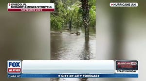 What happens to wildlife during hurricanes? 