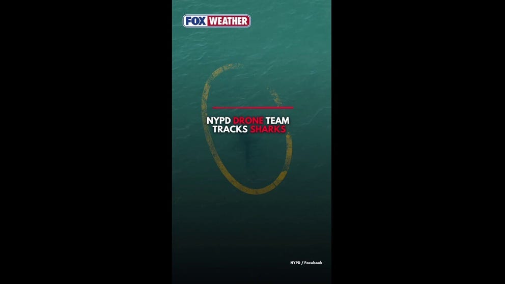 The NYPD's Technical Assistance Response Unit is using drones equipped with high-resolution cameras to monitor waters around New York City beaches, giving lifeguards an aerial view of sharks and other marine life to help keep beachgoers safe.