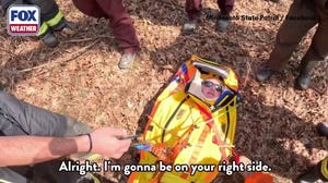 Watch: Minnesota conservation officer rescued after near 20-foot fall in rugged Plainview woods 