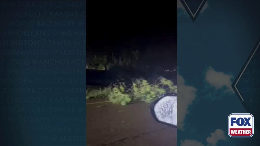 Severe storms batter Lincoln County, leaves Interstate 55 littered with trees after issued Tornado Emergency