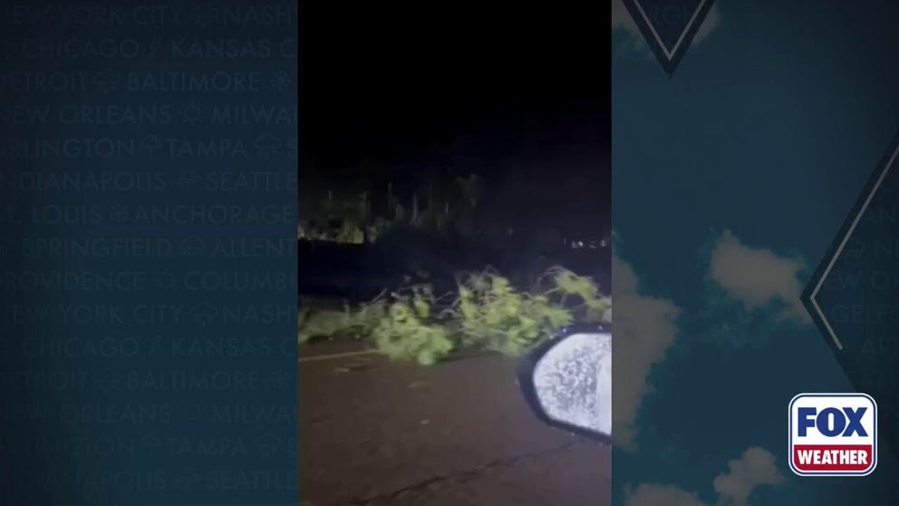 Trees and debris cover stretches of Interstate 55 between Bogue Chitto and Brookhaven after severe storms slammed Lincoln County, Mississippi overnight. Multiple tornado reports were received as a Tornado Emergency was issued for the area.