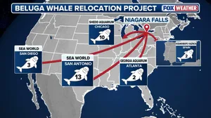 Transport locations of 30 beluga whales from closed Canada marine park