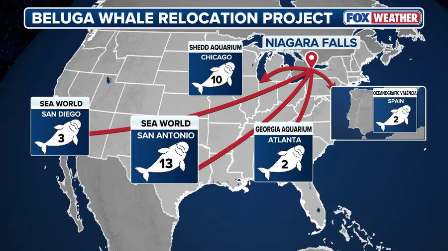 Transport locations of 30 beluga whales from closed Canada marine park