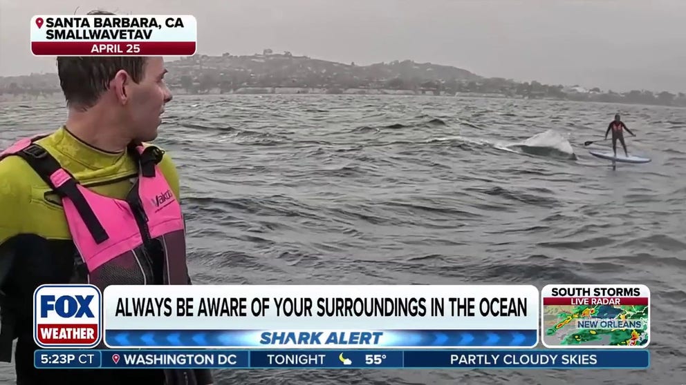 Tavis Boise and Ron Takeda were out on a downwind hydrofoil ride along the California coast when an unexpected visitor appeared. A 10–11 foot great white shark began following Takeda, even making several leaping attempts toward him. Fortunately, both men made it back safely—and lived to share their harrowing encounter on FOX Weather.