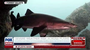 Warming temperatures affecting animal distribution and behavior 