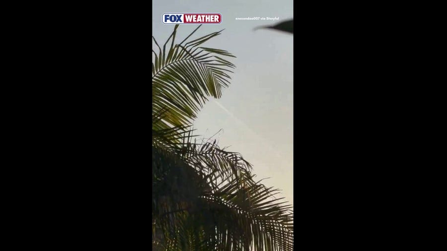 SpaceX Falcon 9 Rocket Launch takes off from Florida