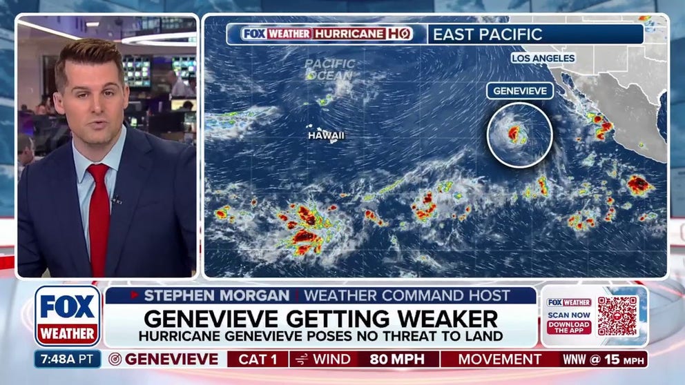 Genevieve weakened to a Category 1 hurricane Thursday morning after becoming this Eastern Pacific's first Category 5 storm since 2024. Dry air is now beginning to impinge on the western side of the storm. Going forward Genevieve will continue to gradually weaken as it moves over progressively cooler water temperatures and into a drier airmass. The storm will dissipate early next week about 1,000 miles north of Hawaii. It poses no threat to land.