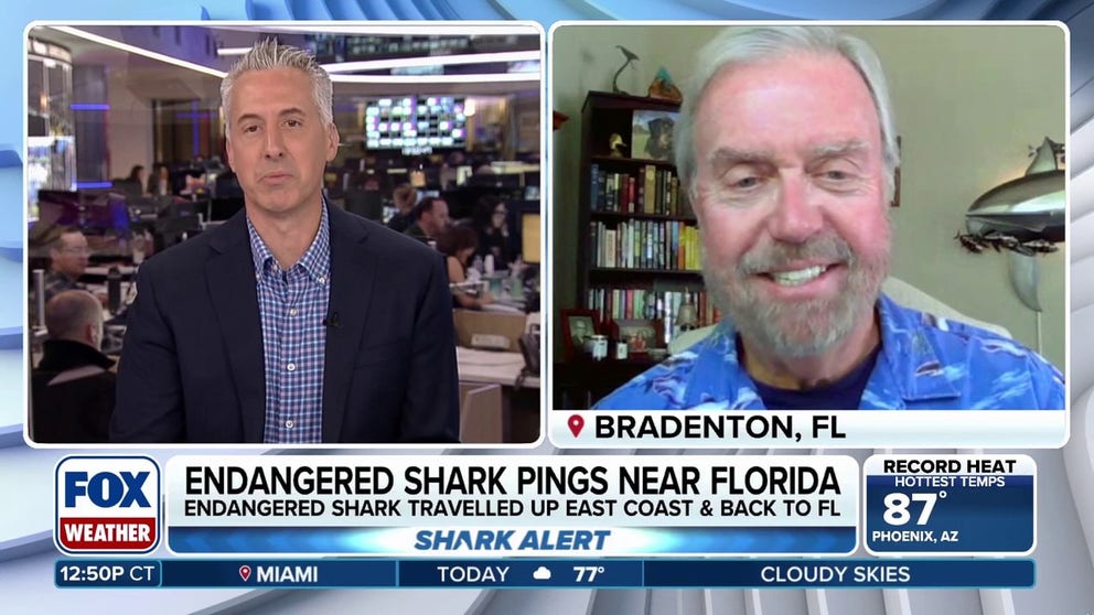 OCEARCH Senior Advisor for Science and Academics, Dr. Bob Hueter, joins FOX Weather to talk about how an endangered shark was pinged 60 miles off the coast of St. Petersburg, Florida.