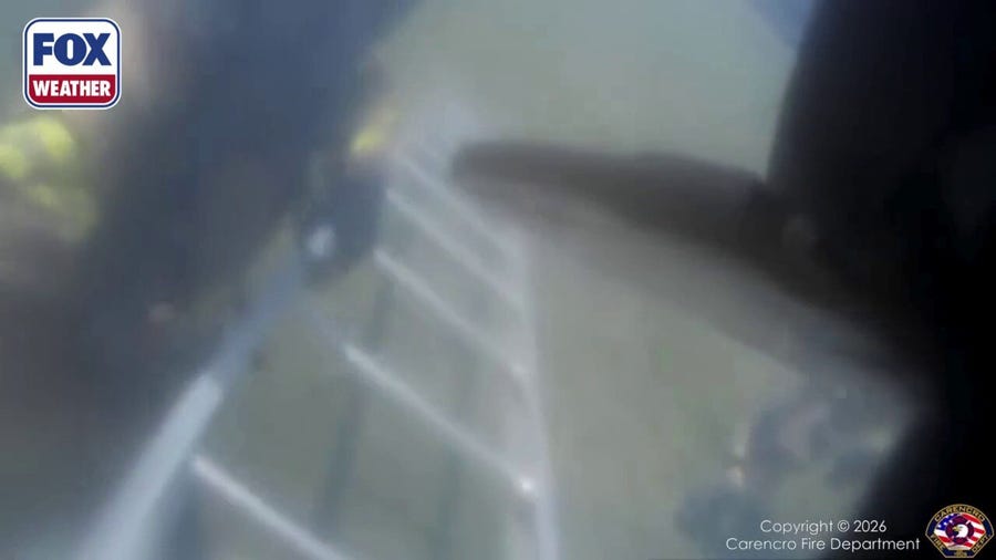 Louisiana firefighters rescue dog from burning home