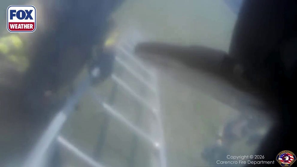 Louisiana firefighters leapt into action to rescue a family dog trapped inside a burning home on Monday.