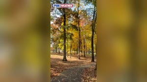 Fall foliage dazzles Eastern Pennsylvania