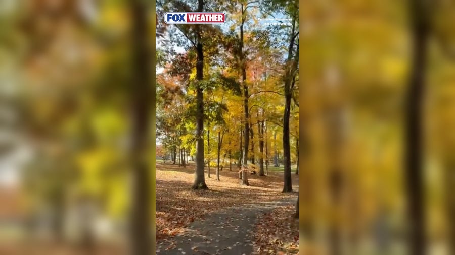 Fall foliage dazzles Eastern Pennsylvania