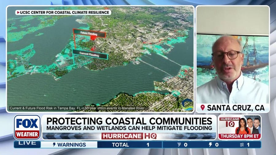 How Mangroves And Wetlands Can Help Protect Coastal Communities From Storms