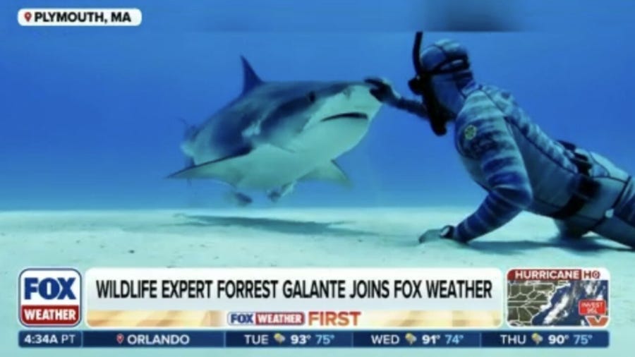 Wildlife expert and biologist Forrest Galante joins FOX Weather 