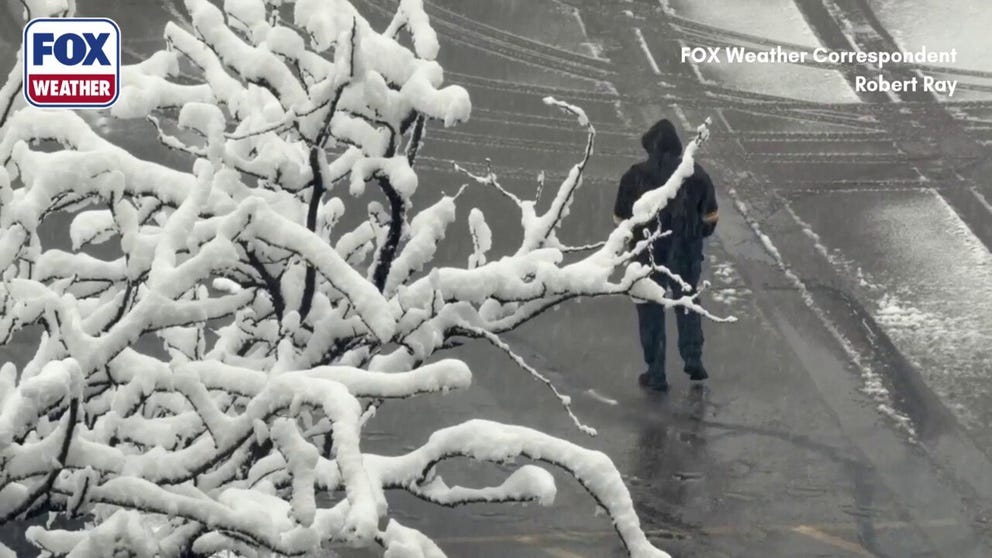 More than 10 inches of snow has fallen across Boulder, Colorado, the biggest May snowstorm for the city since 2013. 
