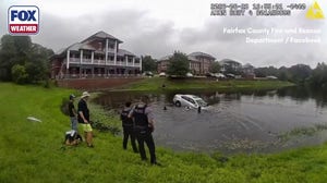 Watch: Human chain saves driver trapped in sinking vehicle in Virginia