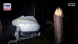 Pine trees snapped by Hurricane Isaias in Jay, Florida, near 118 mph gust