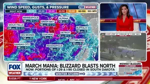Blizzard blasts Great Lakes as incoming ice could pose a major threat to Midwest cities