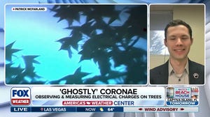 Near-invisible sparkles appearing on trees during storms caught on camera