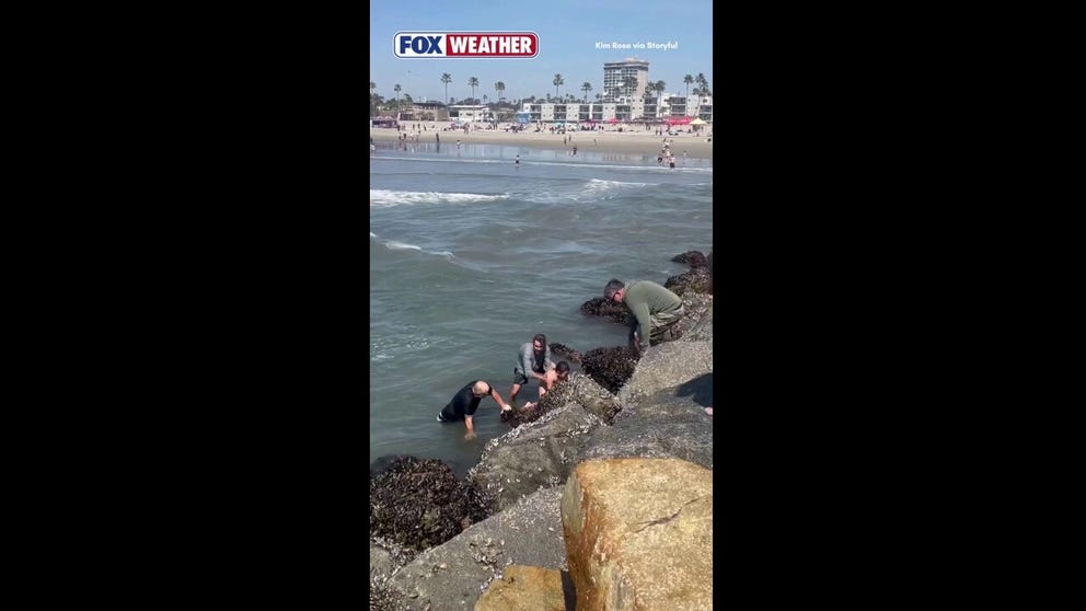 A father and daughter became caught in rip currents off Oceanside, California, when a brave swimming coach dove in and rescued them both.