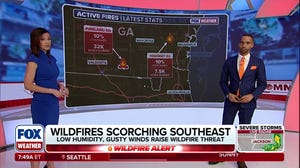 Georgia and Florida wildfires fueled by strong wind gusts and dry conditions