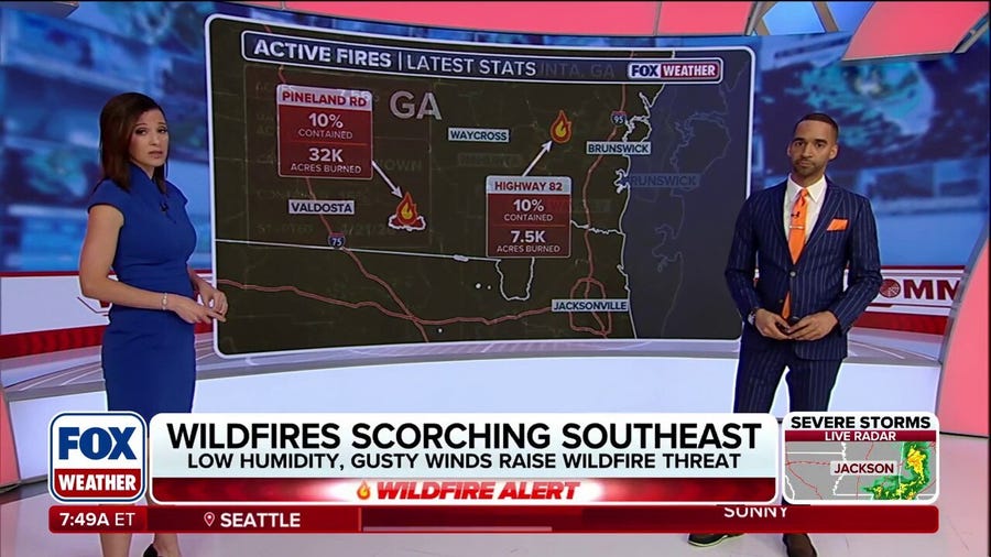 Georgia and Florida wildfires fueled by strong wind gusts and dry conditions