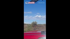 Stranded driver in floodwaters rescued by helicopter