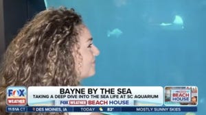 FOX Weather Meteorologist Bayne Froney explores the South Carolina Aquarium 