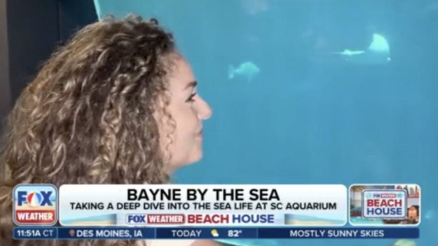 FOX Weather Meteorologist Bayne Froney explores the South Carolina Aquarium 