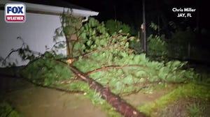 Isaias knocks tree over house in Florida Panahandle