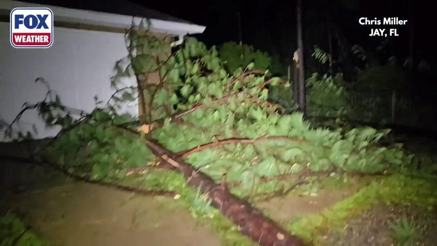 Isaias knocks tree over house in Florida Panahandle