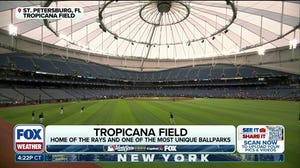Here's why Tropicana Field uses unique turf with coconut infill