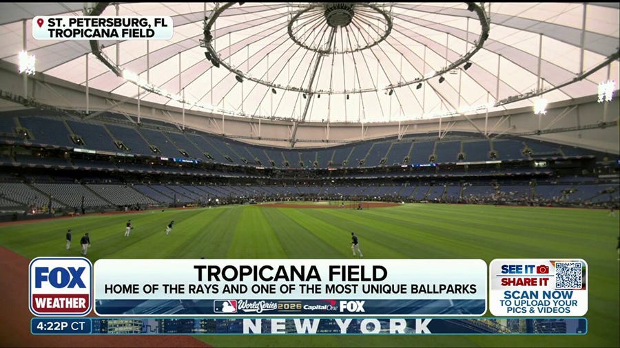 Here's why Tropicana Field uses unique turf with coconut infill