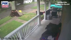 Gusty winds uproot tree in Michigan yard during severe storms