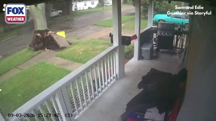 Gusty winds uproot tree in Michigan yard during severe storms