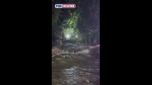 Watch: First responders rescue Texans trapped by dangerous floodwaters
