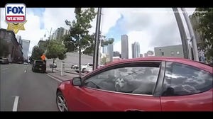 Husky Saved from 113-Degree Car in Houston Heat
