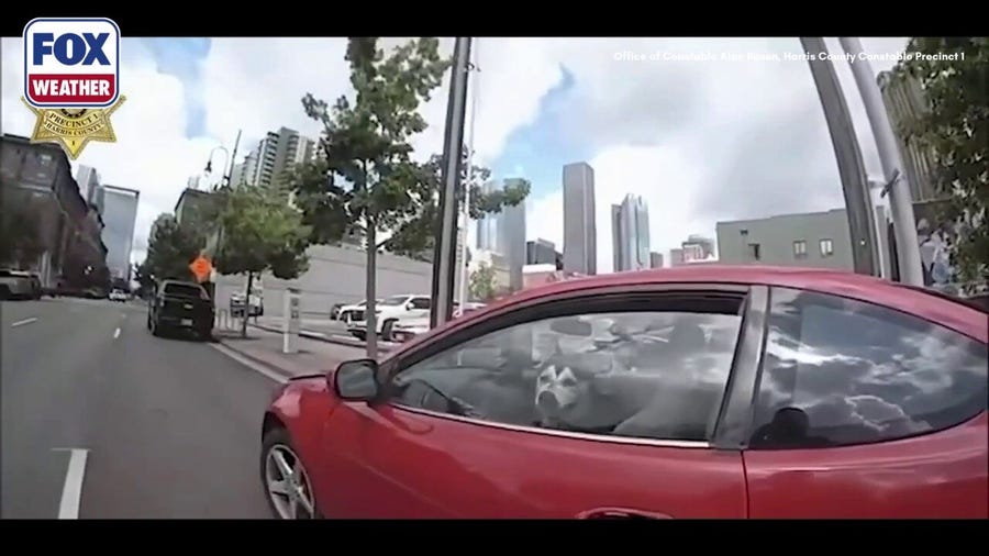 Husky Saved from 113-Degree Car in Houston Heat