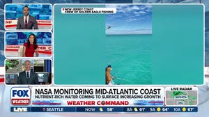 Caribbean Colors Invade the Jersey Shore: Massive Phytoplankton Bloom Turns Atlantic Turquoise