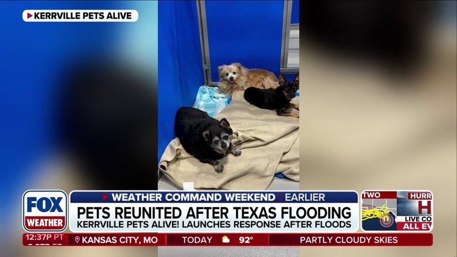 Pets reunited as recovery continues after Texas flooding