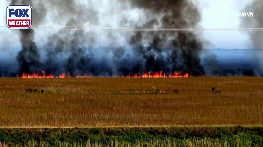 Watch: Aerial video of large wildfire scorching the Everglades near the Miami metro area